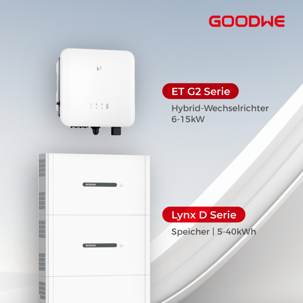 GoodWe: Technische Schulung