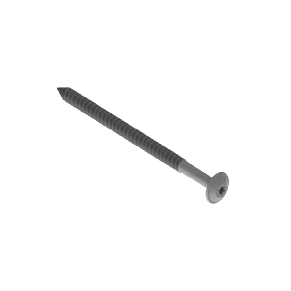 Tellerkopfschraube 6x100 A2