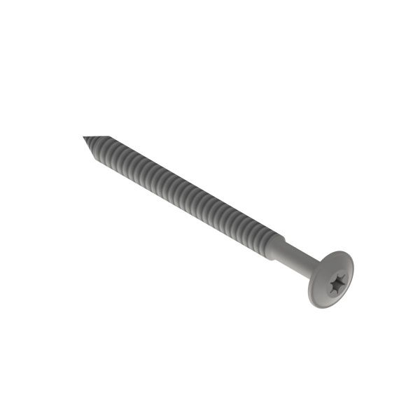 Tellerkopfschraube 6x100 A2